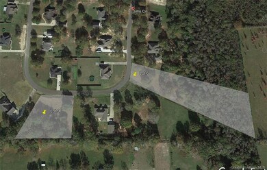 0 Jims Cir unit SWL24006741, Ragley, LA 70657 - photo 3