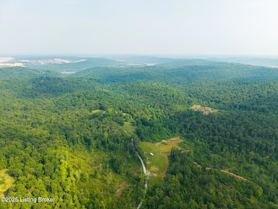 410 Cedar Flats Rd, Battletown, KY 40104 - photo 6