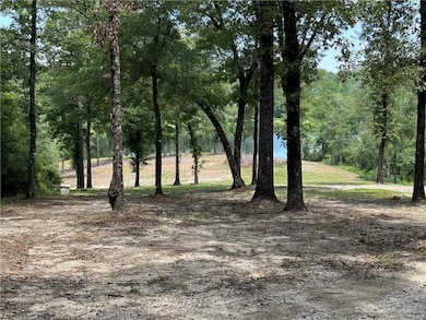 1150 Celeste Spring Dr, Mobile, AL 36571 - photo 3