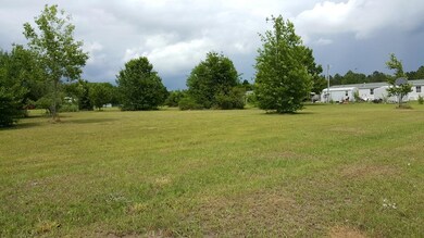 102 Jog Rd, Sylvester, GA 31791 - photo 5