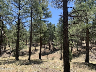 2343 E Del Rae Dr unit 176, Flagstaff, AZ 86001 - photo 7