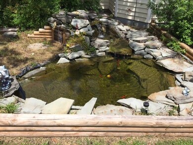 Gold fish pond