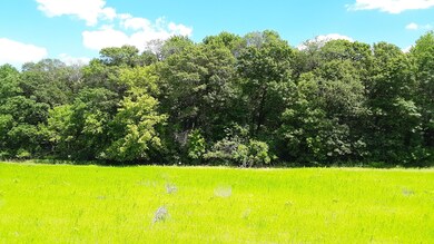 Lot 3 Block 1 Kettle River Blvd NE, Columbus, MN 55025 - photo 5