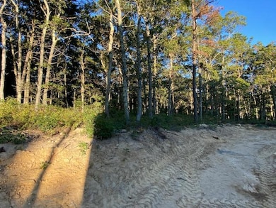 11 Wildwood Ln unit C, Bourne, MA 02562 - photo 7