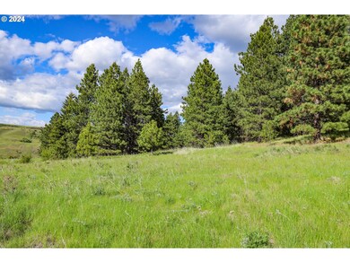 0 Highway 3 St unit 23058297, Enterprise, OR 97828 - photo 6