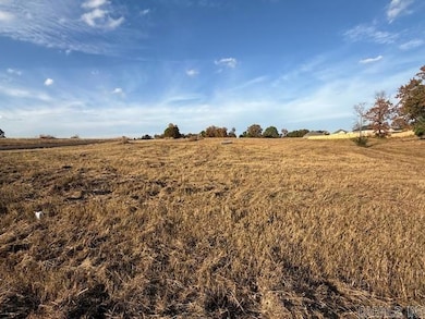 21 Summer Sky Dr, Greenbrier, AR 72058 - photo 3