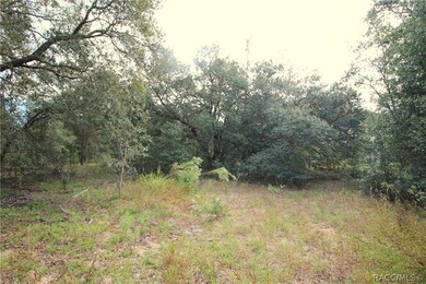 4344 N Indianhead Rd, Hernando, FL 34442 - photo 3