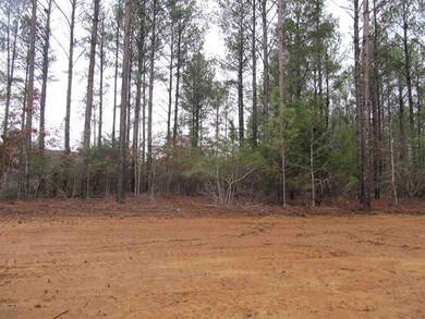 497 Caroline Blvd unit Lot 496, Madison, MS 39110 - photo 3