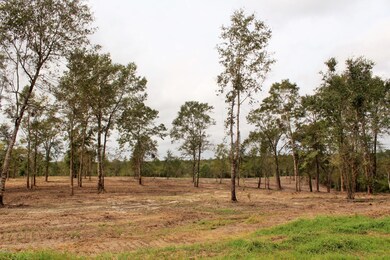 11.35ac Buddy Finch Rd, Lucedale, MS 39452 - photo 4
