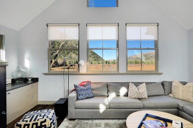 240 Mahoney Dr unit 2, Telluride, CO 81435 - photo 3