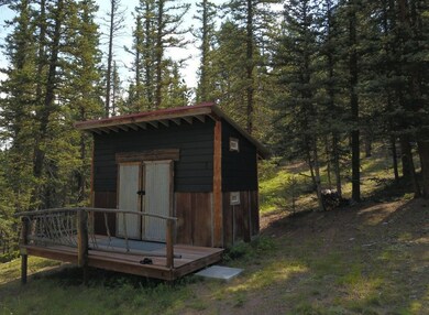 10223 Trail Creek Rd, Florissant, CO 80816 - photo 6