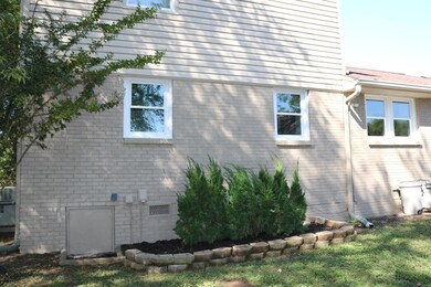 Nicely Land scraped Yard.