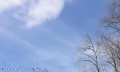 2611 Navigator, Lansing, MI 48911 - photo 5