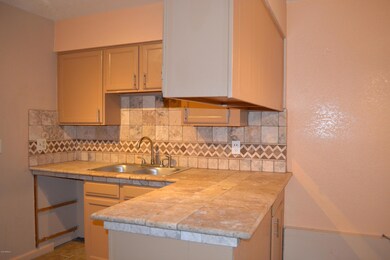 OTHER KITCHEN VIEW