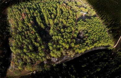 237 Thundering Springs Rd, Leesburg, GA 31763 - photo 5