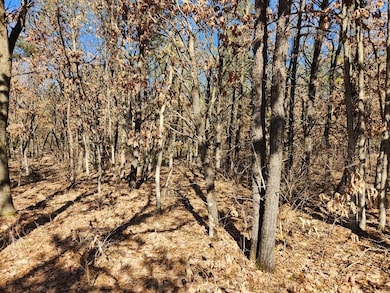 0 Koval Rd unit 22500378, Lyndon Station, WI 53944 - photo 4