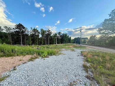 7958 Mc 6061, Flippin, AR 72634 - photo 5