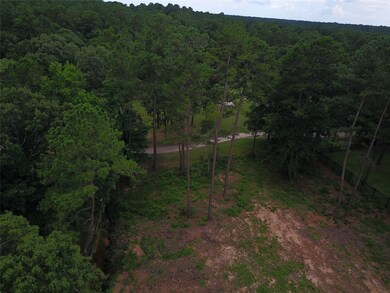 28332 Meadow Forest, Magnolia, TX 77355 - photo 2