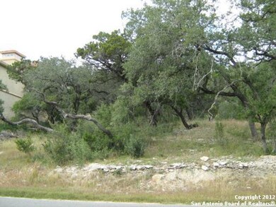 19707 Terra Mont, San Antonio, TX 78255 - photo 6