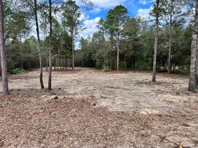 Lot 103 SW 60th Lane Rd, Ocala, FL 34481 - photo 5