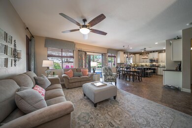 Rainbow-12Family Room