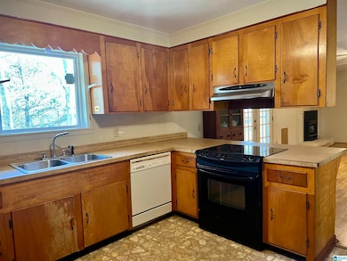 151 Mill St, Wedowee, AL 36278 - photo 4