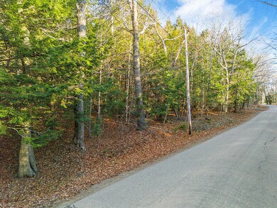 Lot 3-1 Bryant Rd, Unity, ME 04988 - photo 4