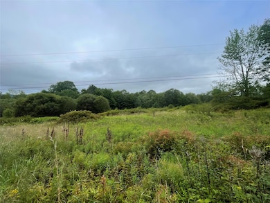 0 Basil Todd Rd, Middletown, NY 12430 - photo 3