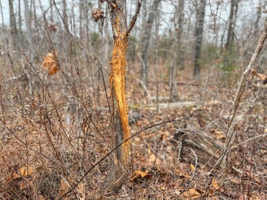 01 Norfork Village St, Tecumseh, MO 65760 - photo 4