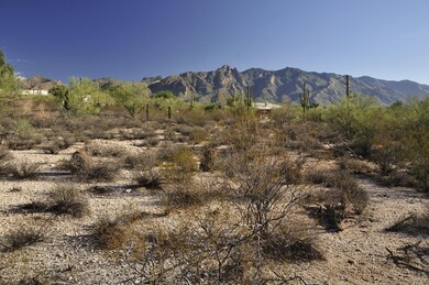 Looking North - Santa Catalina Mountains