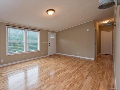 102 Walt Haven Dr, Leicester, NC 28748 - photo 7