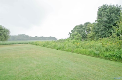19469 Grassy Meadow Ln, Athens, AL 35613 - photo 4