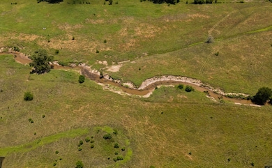 TBD Farm To Market 857, Grand Saline, TX 75140 - photo 6