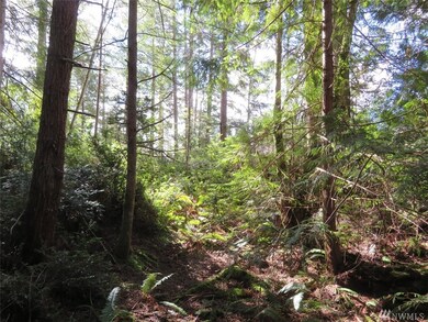 0 Wayne Rd W unit 1740283, Seabeck, WA 98380 - photo 7