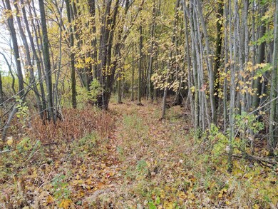 IMG_20201013_105651760