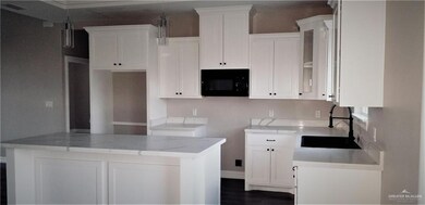 810 Blue Quail St, Alamo, TX 78516 - photo 4