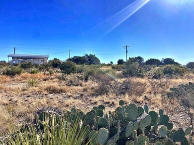 1284 Cholla Rd unit Verde West Phase III, Comstock, TX 78837 - photo 2