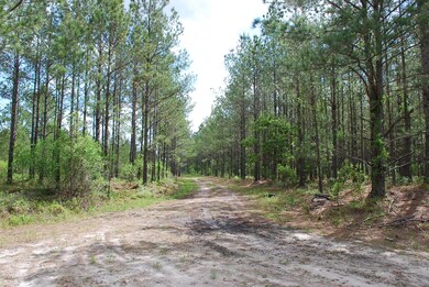 0000000000 Mill Creek SE, Bolivia, NC 28422 - photo 2