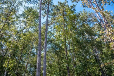 8530 Lake Bright Dr, Columbus, GA 31904 - photo 6