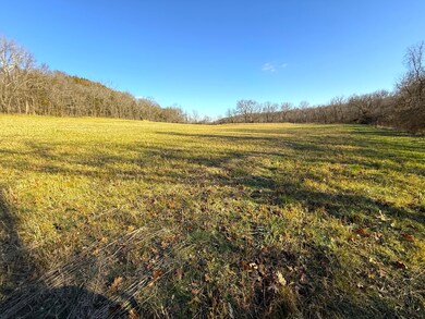 IMG_3291