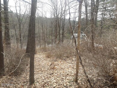 0 Christian Hill Rd, Dingman Township, PA 18337 - photo 6