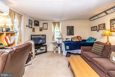 209 William St, Downingtown, PA 19335 - photo 7