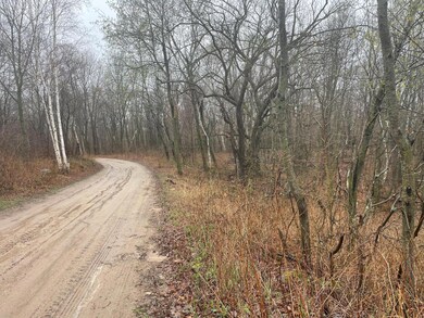 TBD Marble Dr, Cushing, MN 56443 - photo 4