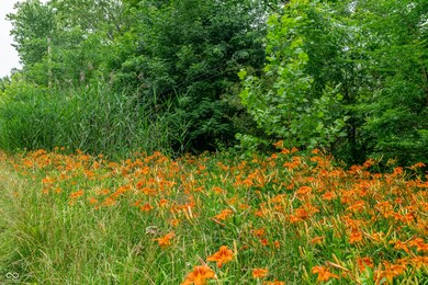 Tract 7 Hudson Hill Rd, Spencer, IN 47460 - photo 7