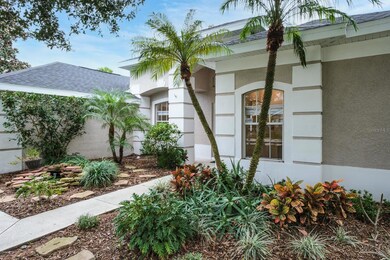 527 Bridle Path Way, Tarpon Springs, FL 34688 - photo 5