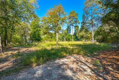 2423 Hickory Hollow Ln, Spring, TX 77386 - photo 7