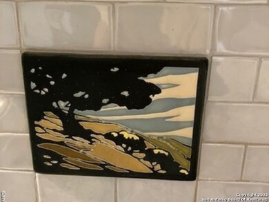 10146 Cedar Crest Dr, Helotes, TX 78023 - photo 6