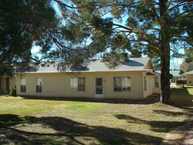 18435 N 101st Dr, Sun City, AZ 85373 - photo 3