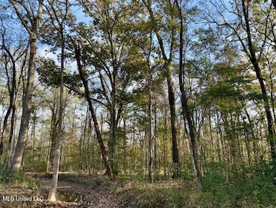 0 Perrytown Rd unit 4132583, Rosetta, MS 39633 - photo 7