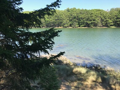 0 Drebelbis Rd unit 1435265, Bristol, ME 04558 - photo 3